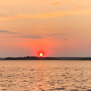 Meet your Posher, Maddie